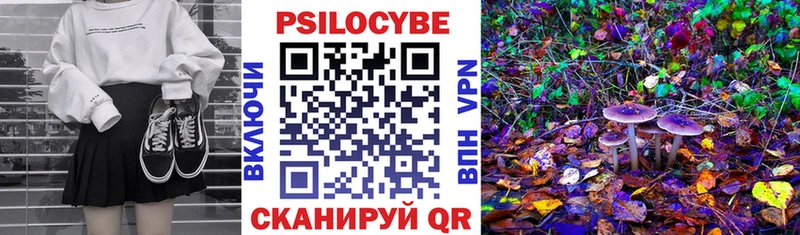 Псилоцибиновые грибы Magic Shrooms  даркнет состав  Бердск 